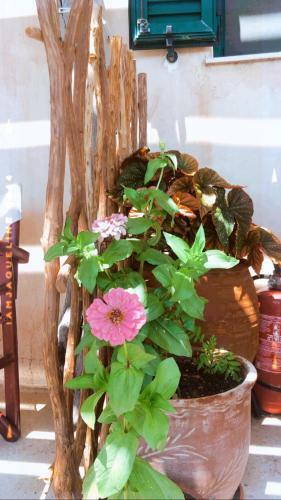 Apartamento Ampelia Kythira