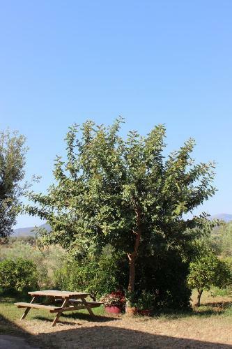 Agroturismo Agriturismo L' Agrumeto