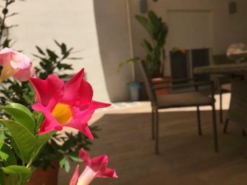 Bed & Breakfast Casa Roberta