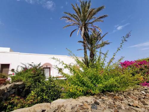 Agroturismo Dammusi Matilde