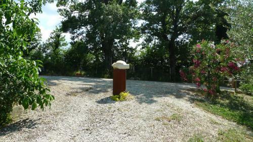 Apartamento Agriturismo San Pierino