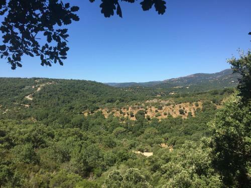 Bed & Breakfast Les Aurochs