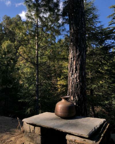 Lodge Shantiniketan Mountain Home