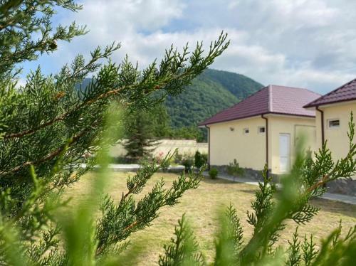 Apartamento Alp Hotel