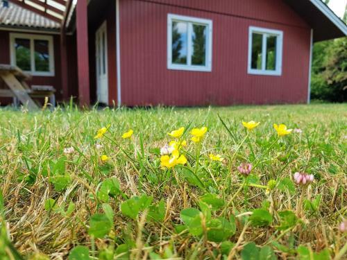 Bed & Breakfast Naturskolen Gedser