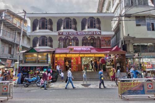 Hotel Ibex