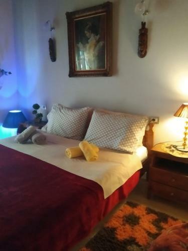 Villa Maria Luxury Apartments ''bunec-piqeras''!