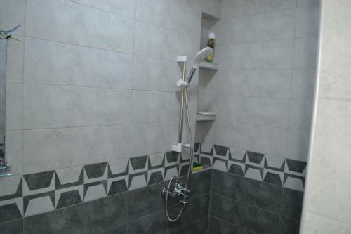 Hostal Temo&sesili