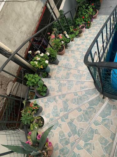 Apartamento House Omari