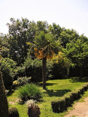 Bed & Breakfast La Ferme Jarlan