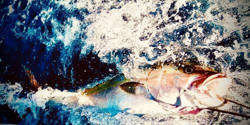 Fishing Academy & Cousine Pantelleria