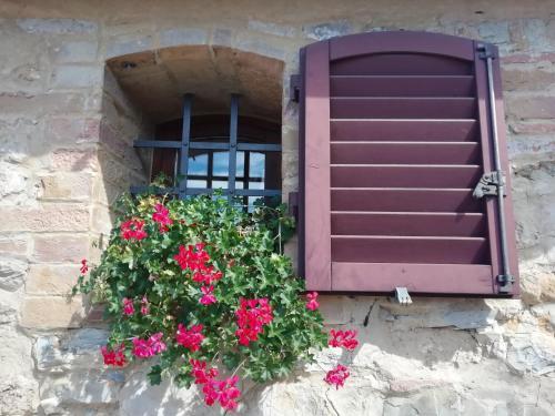 Apartamento Vacanze In Toscana Con Piscina