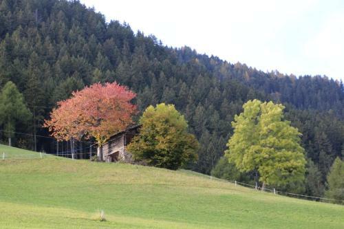 Hotel Gasthof Walde