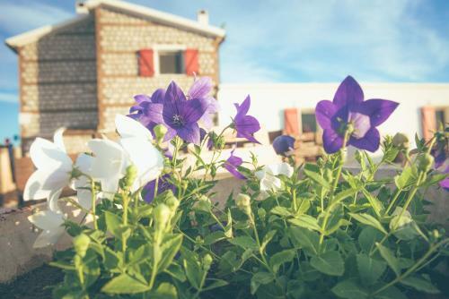 Bed & Breakfast Masseria Piana Della Macina
