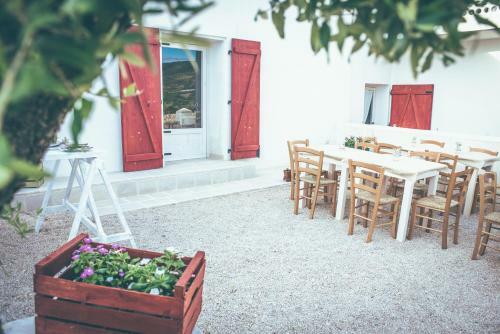 Bed & Breakfast Masseria Piana Della Macina