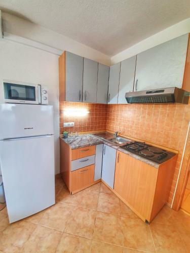 Apartmani Steli