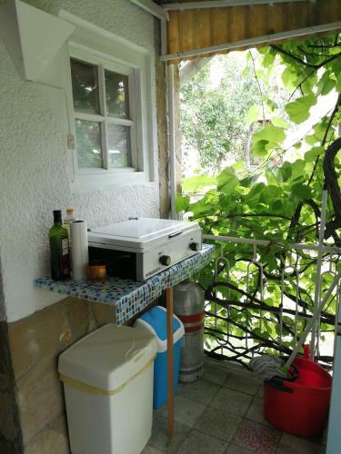 Kis Vitorl�s