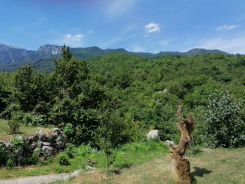 Apartman Kameno Vrelo