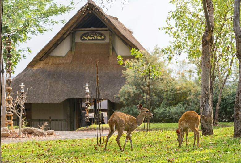 Hotel Victoria Falls Safari Lodge