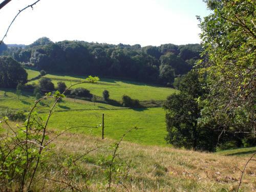 Hotel Bergrust
