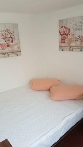 Hostal Casa Ambrozia