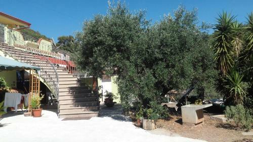 Casa Floris