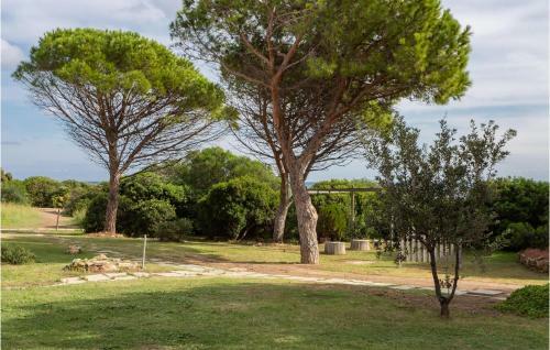 Apartamentos Bilo 4