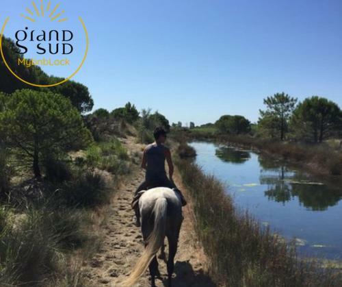 Apartamento Le Lagon Bleu
