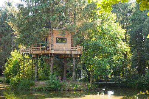 Cabane Dans Les Arbres Avec Spa Les Cabanes De Koad'dour
