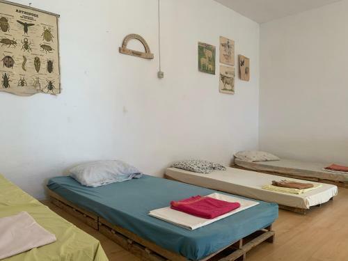 Shkolla Hostel & Camping