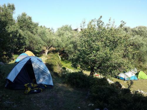 Shkolla Hostel & Camping