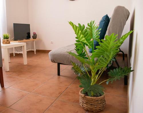 Casa Ermelinda