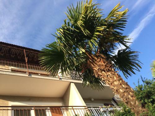 Hostal Rooms And Apartment Lia