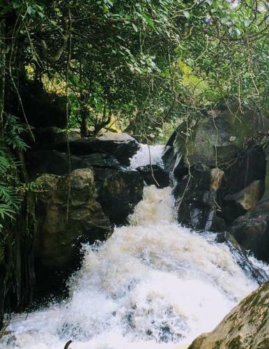 Siderbhan Homestay Chikmagalur