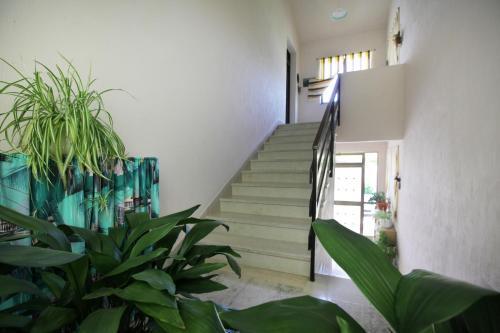 Apartamento Guest House Ljubica