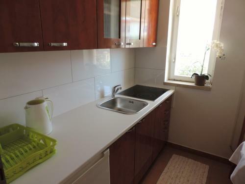 Apartment Vidas