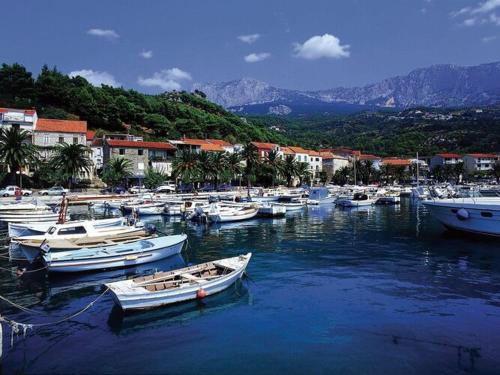 Apartments Villa Vesna Podgora - Cdm05026-dyd