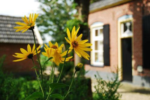 Bed & Breakfast De Bolderie