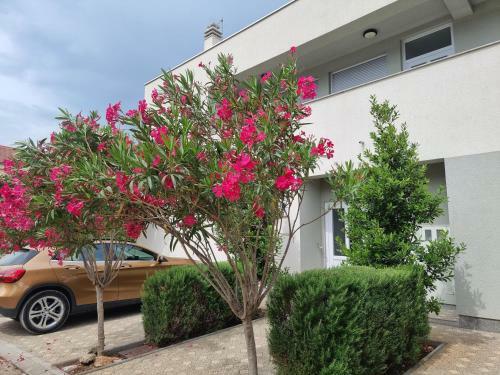 Apartmani Jozic