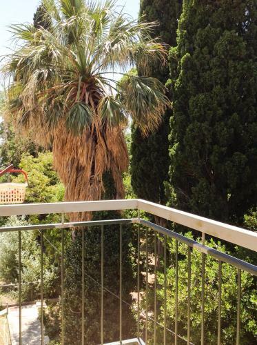 Apartamentos Palmaja