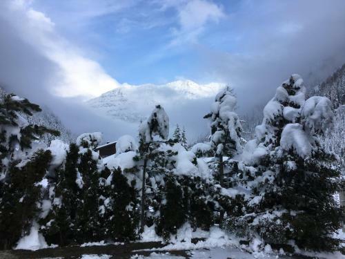 Apartamento Alpenspirit