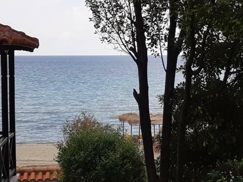 Sofia's Pearl Beachfront Maisonette