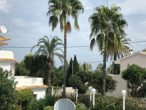 Apartamento Oasis Paradise