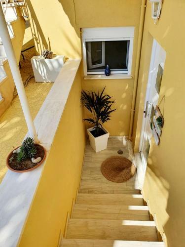 Pine Trees Apartment