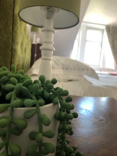 Bed & Breakfast Oleanders Bnb