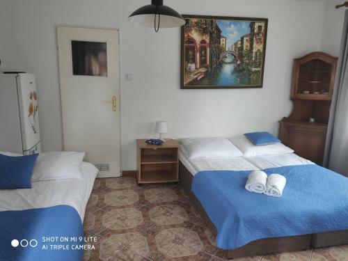 Rudy Kot