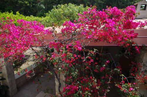 Corsaro B&B