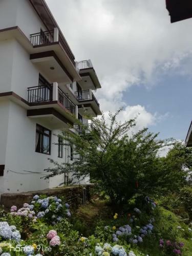 Hotel Pine Haven Resorts