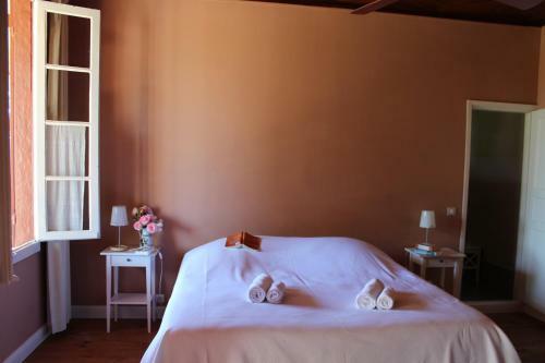 Bed & Breakfast Maison Poche