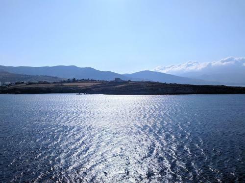 Studio Gregory